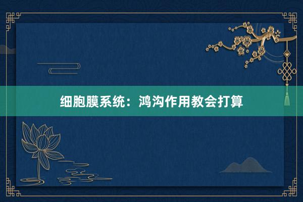细胞膜系统：鸿沟作用教会打算