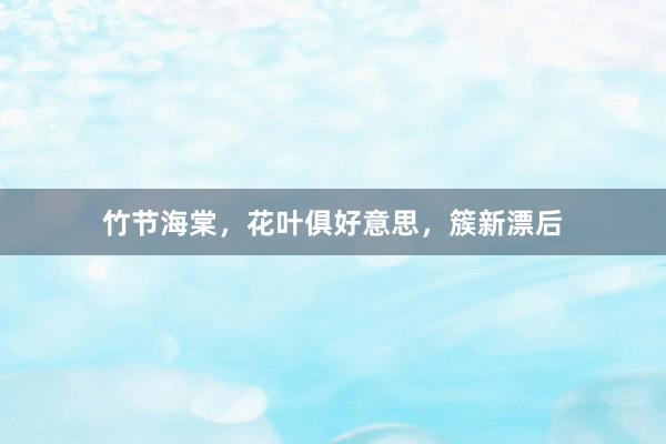 竹节海棠，花叶俱好意思，簇新漂后