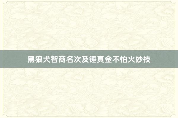 黑狼犬智商名次及锤真金不怕火妙技