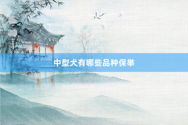 中型犬有哪些品种保举