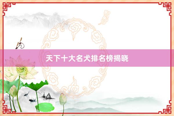 天下十大名犬排名榜揭晓